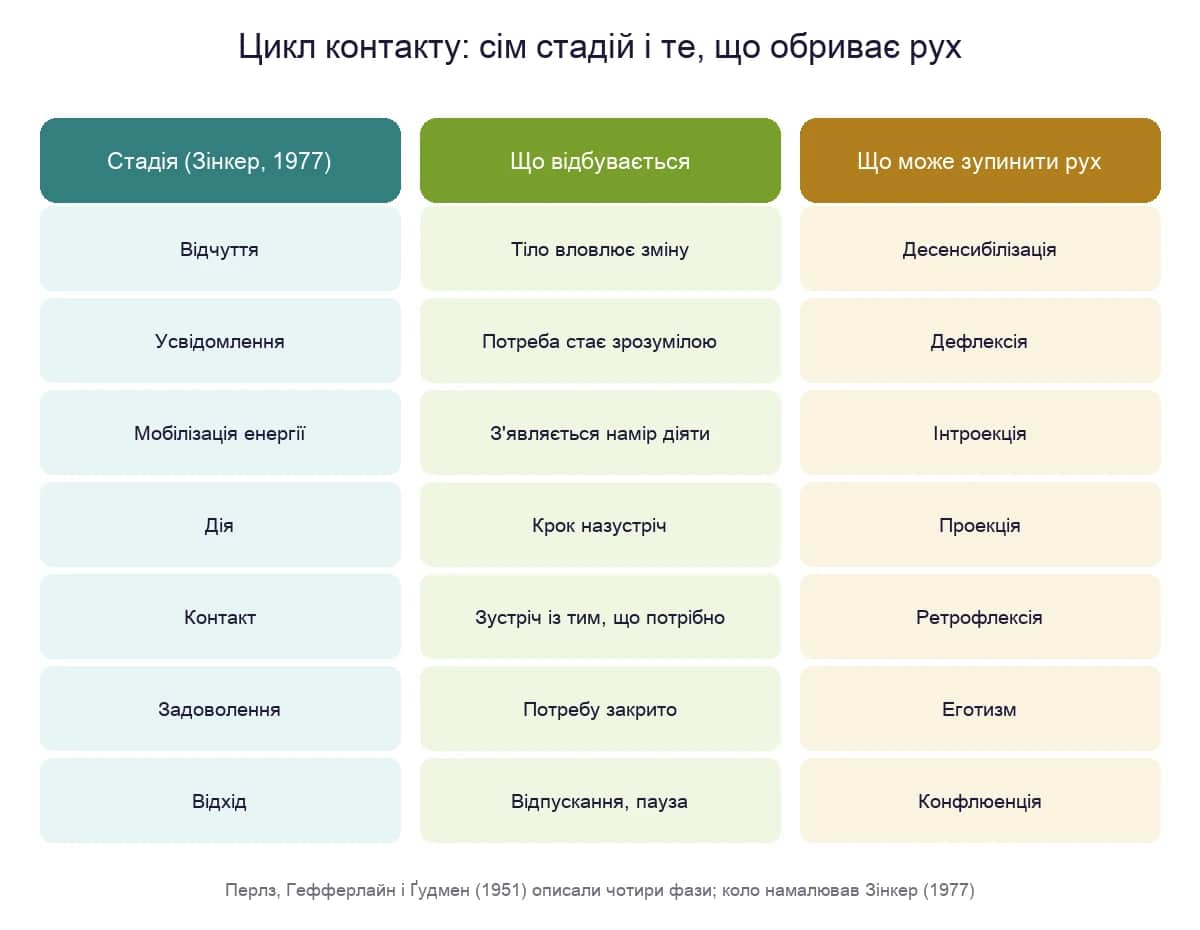 Цикл контакту: сім стадій за Зінкером і механізм, що зупиняє рух на кожній з них
