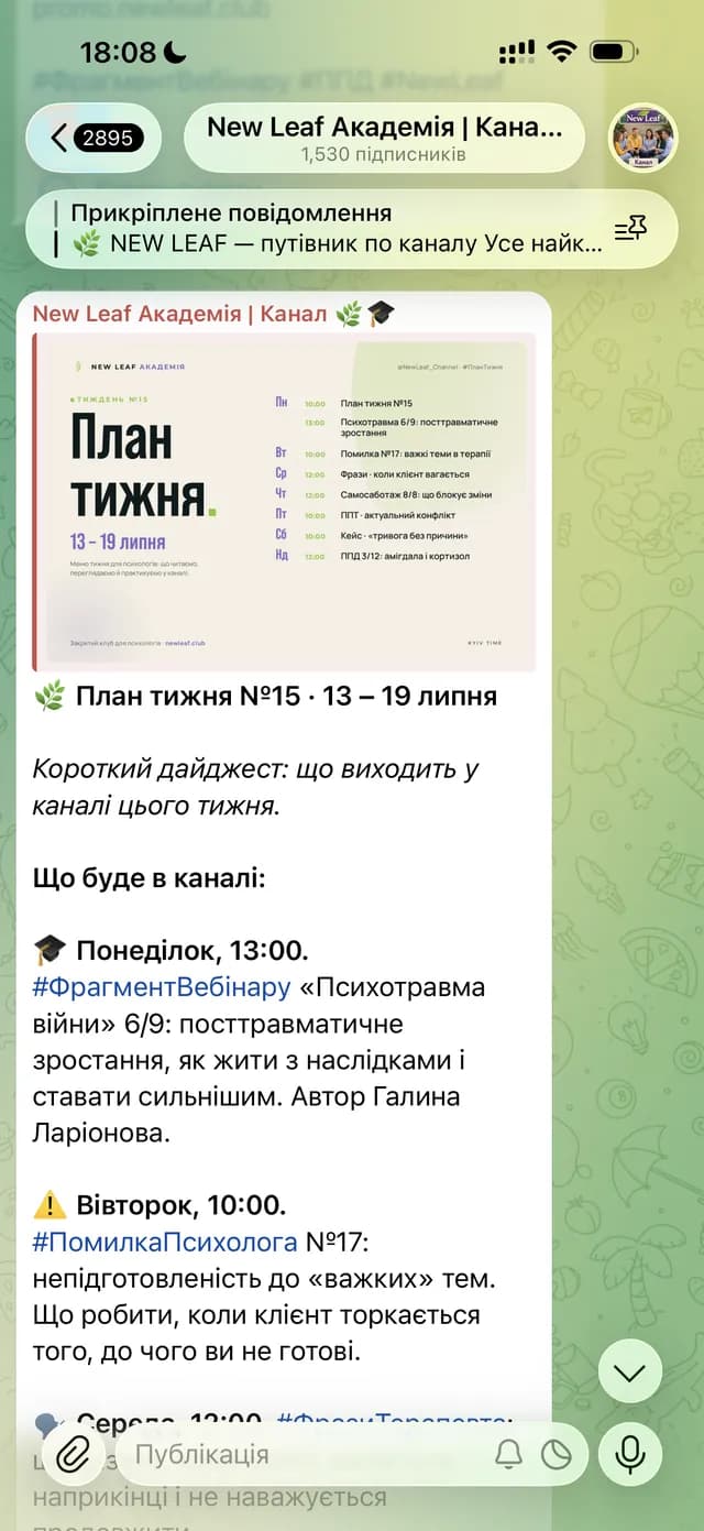 New Leaf Академія | Канал